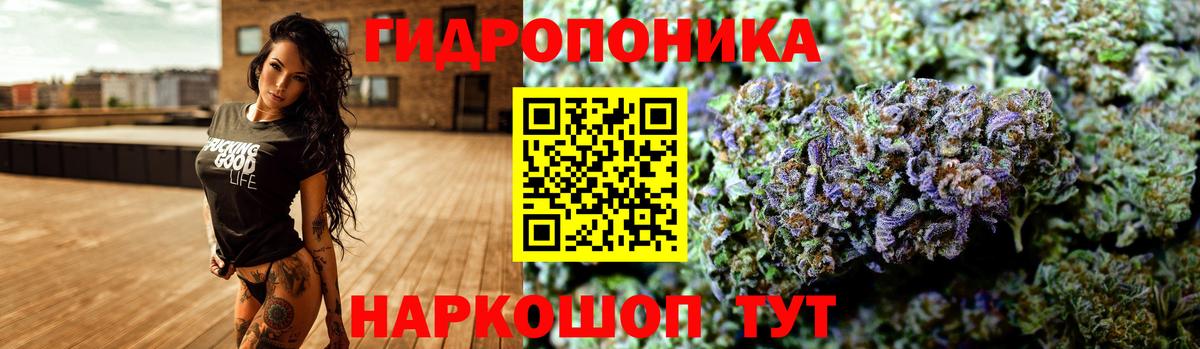 Бошки марихуана VHQ Майкоп